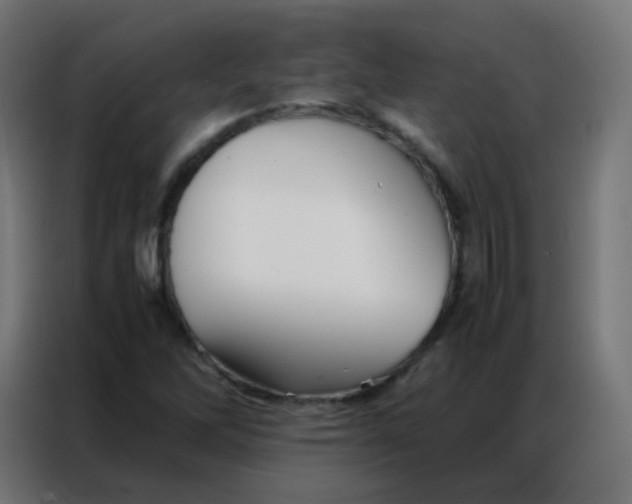 X0000086791262200705041541