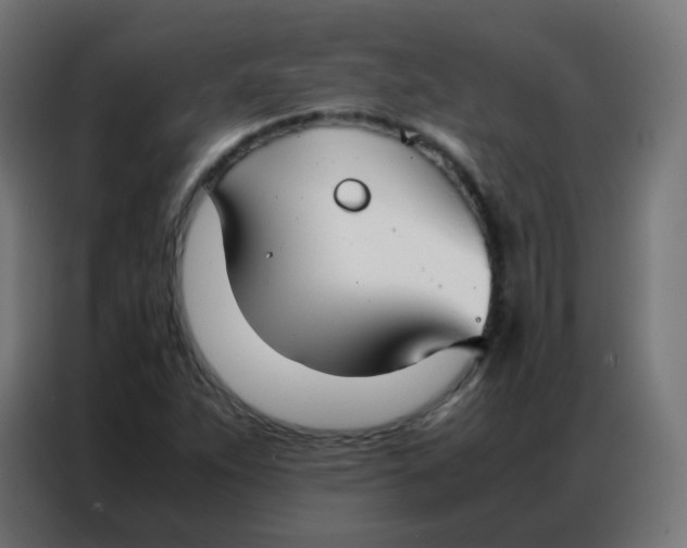 X0000086791263200705041541