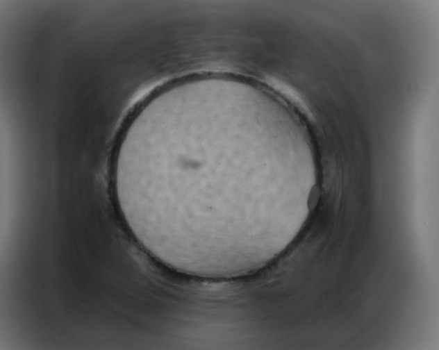 X0000086791264200705041541