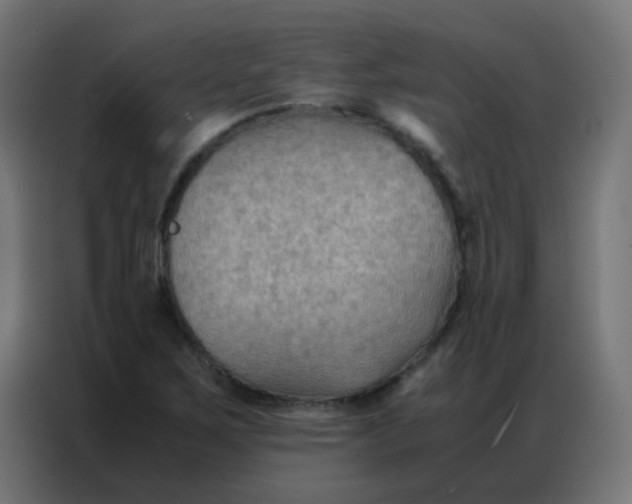 X0000086791267200705041541