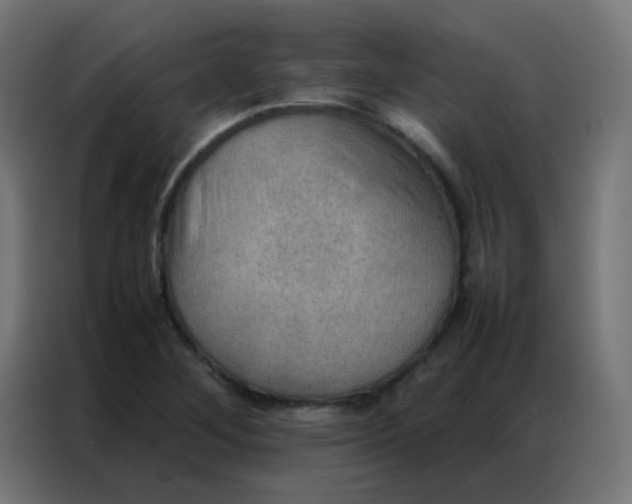 X0000086791268200705041541