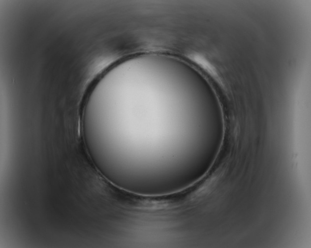 X0000086791269200705041541