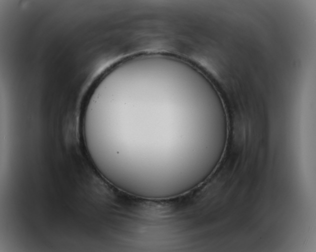 X0000086791270200705041541