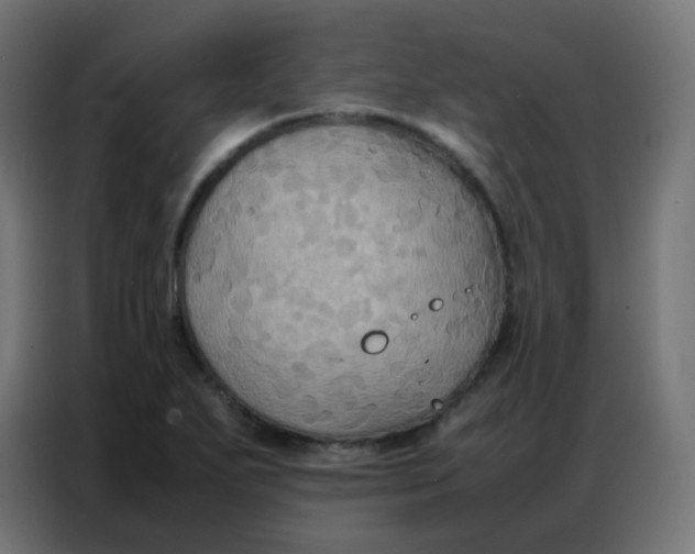 X0000086791271200705041541