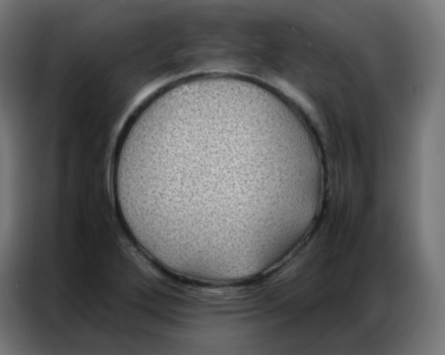 X0000086791272200705041541