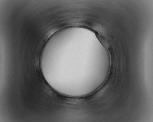 X0000086791273200705041541