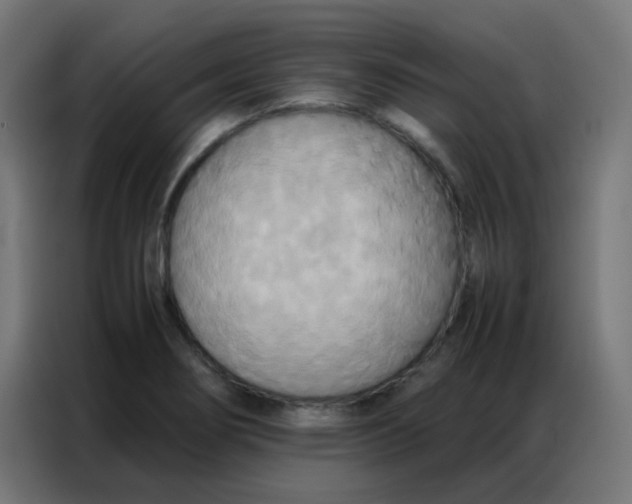 X0000086791274200705041541