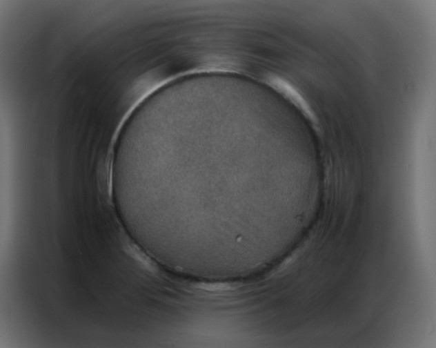 X0000086791276200705041541