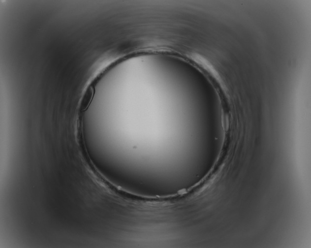 X0000086791277200705041541