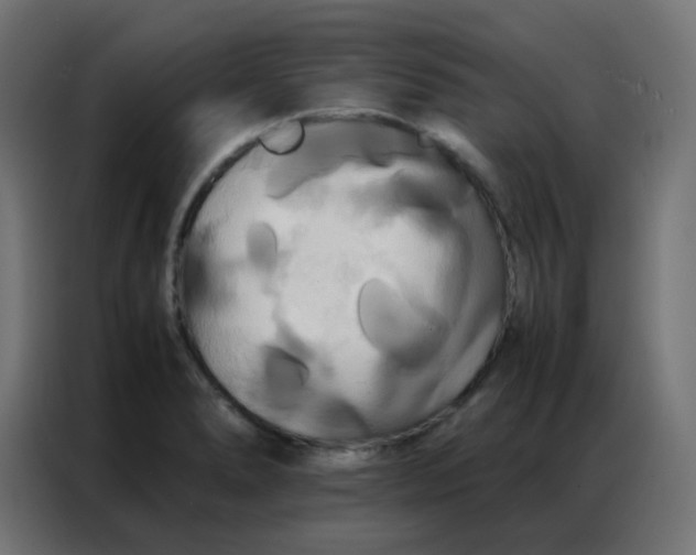 X0000086791278200705041541