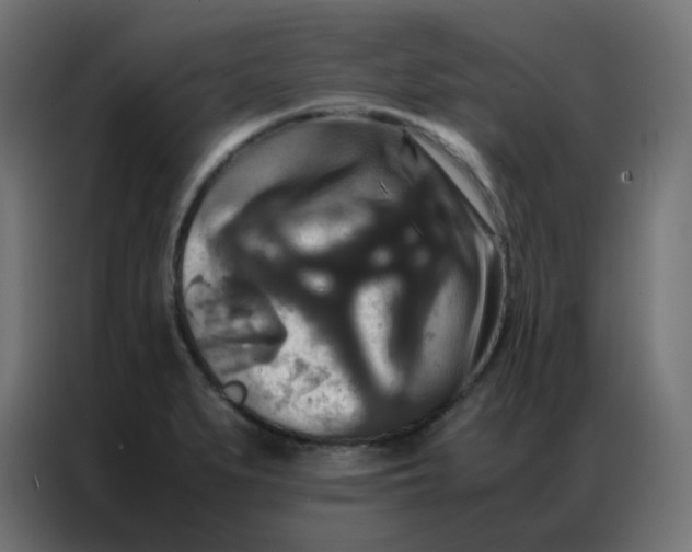 X0000086791279200705041541