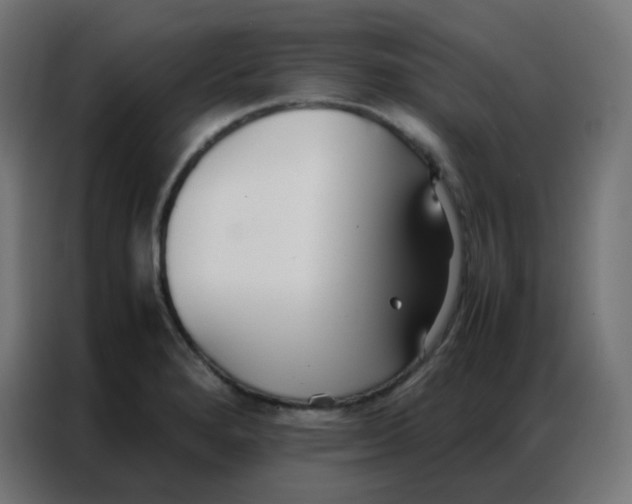 X0000086791280200705041540