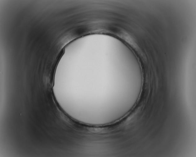 X0000086791281200705041540