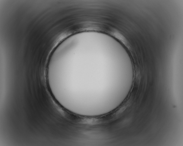 X0000086791282200705041540