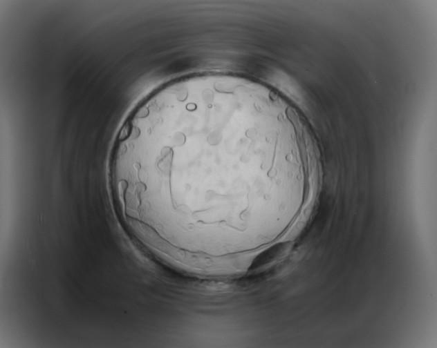 X0000086791283200705041540