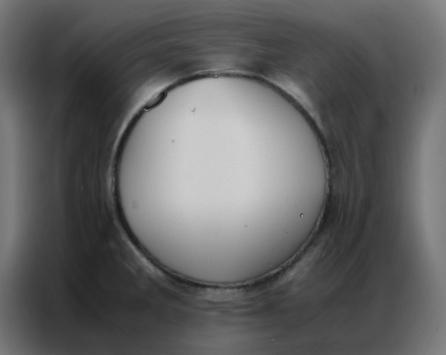 X0000086791285200705041540