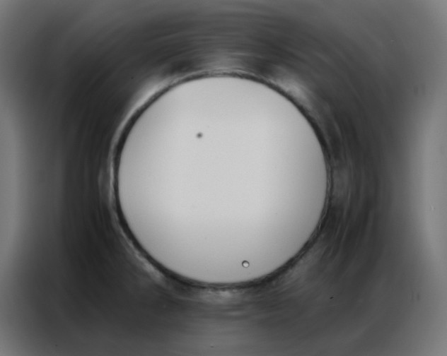 X0000086791286200705041540