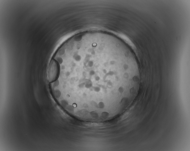 X0000086791287200705041540