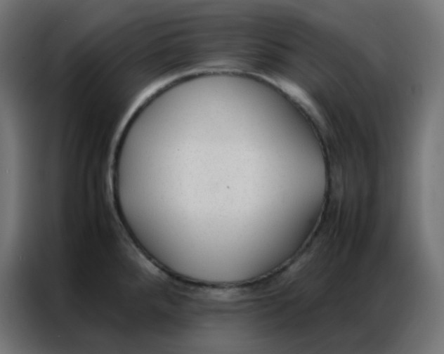 X0000086791288200705041540