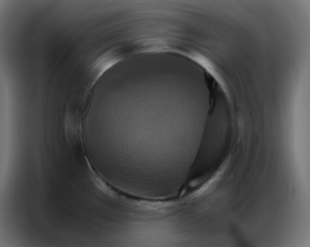 X0000086791289200705041540