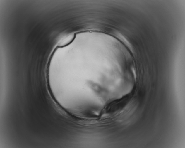 X0000086791291200705041540