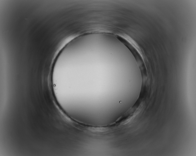 X0000086791293200705041540