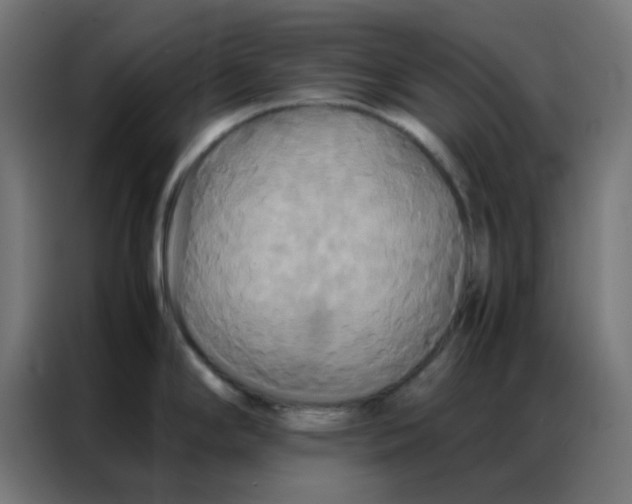 X0000086791294200705041540