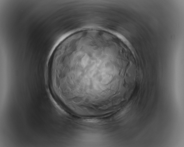 X0000086791295200705041540