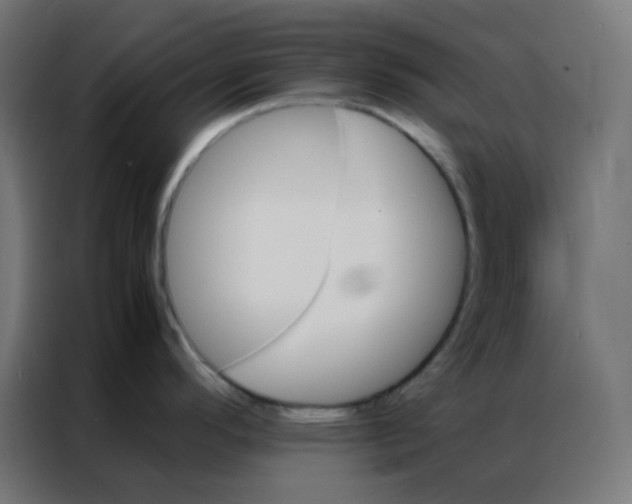 X0000086791296200705041540