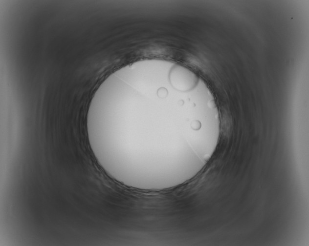 X0000086791297200705041540