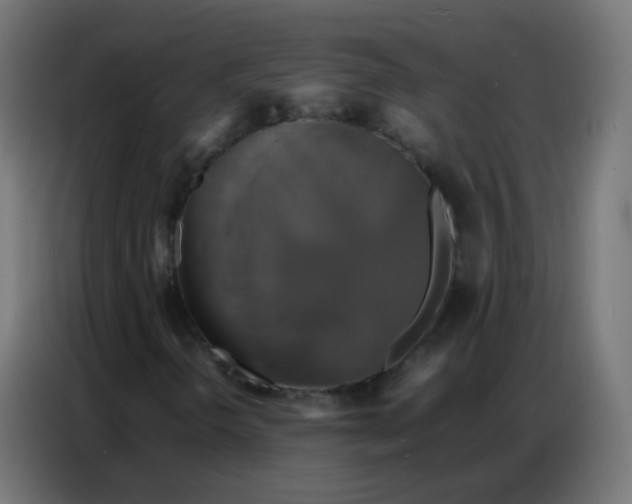 X0000086791298200705041540