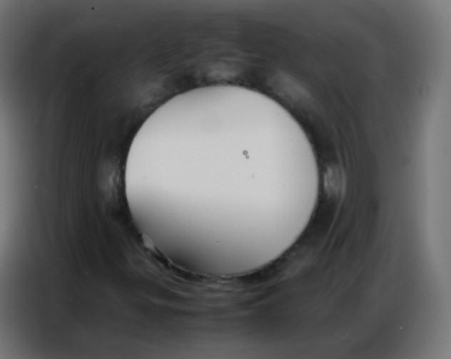 X0000086791299200705041540