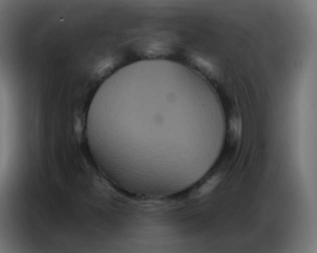 X0000086791300200705041540