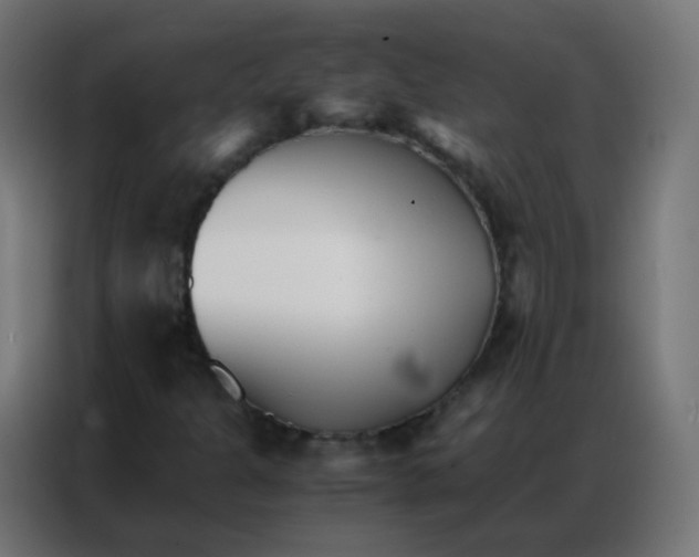 X0000086791301200705041540