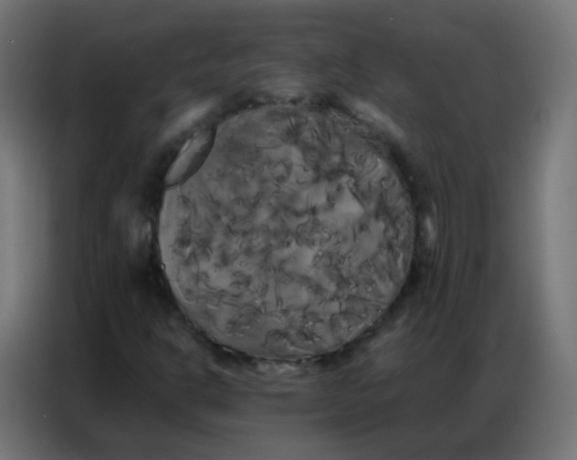 X0000086791302200705041540