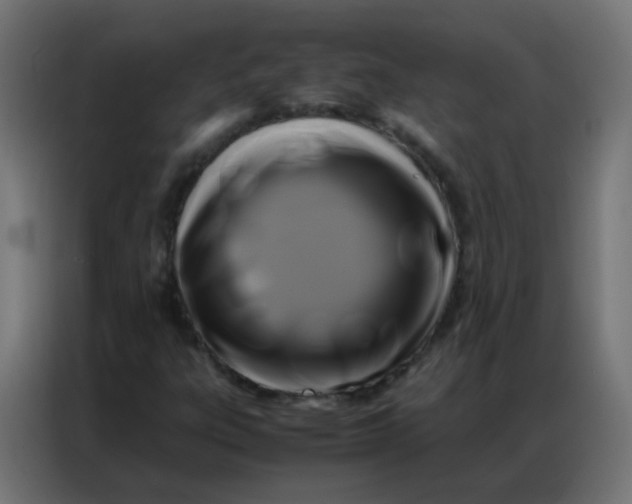 X0000086791303200705041540