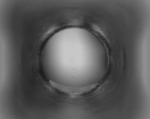 X0000086791304200705041540