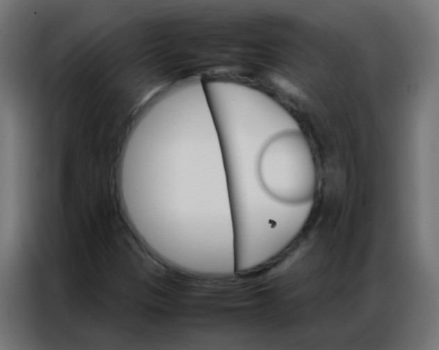 X0000086791305200705041540