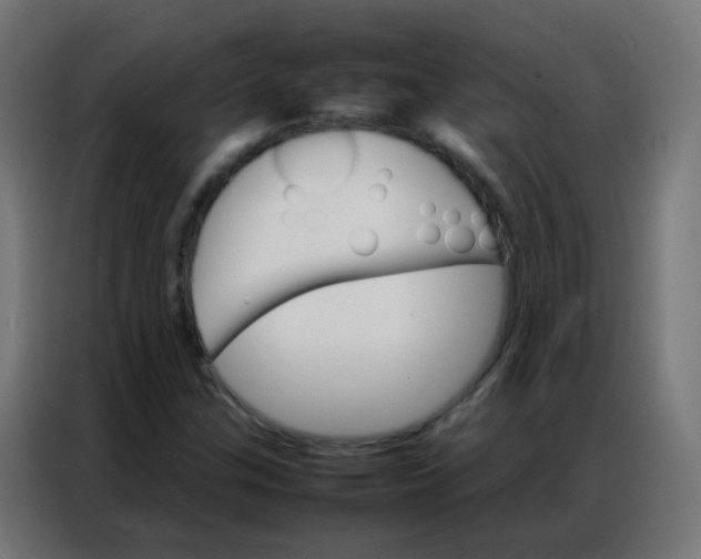 X0000086791307200705041540