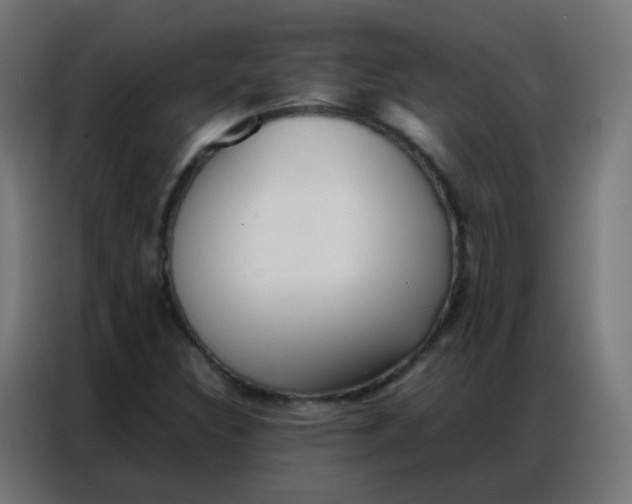 X0000086791308200705041540