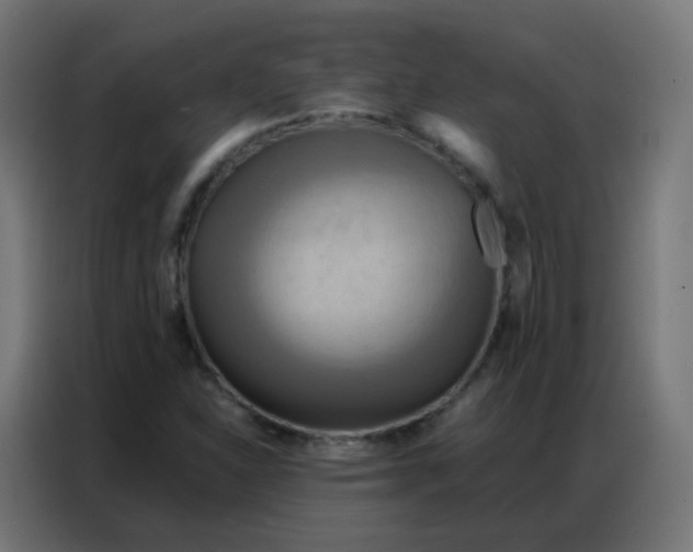 X0000086791310200705041540