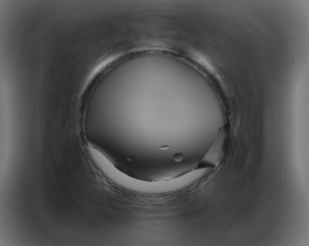 X0000086791312200705041540