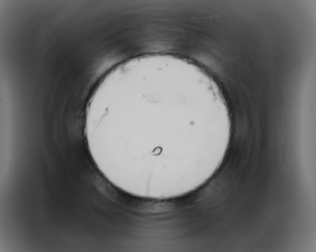 X0000086791314200705041540