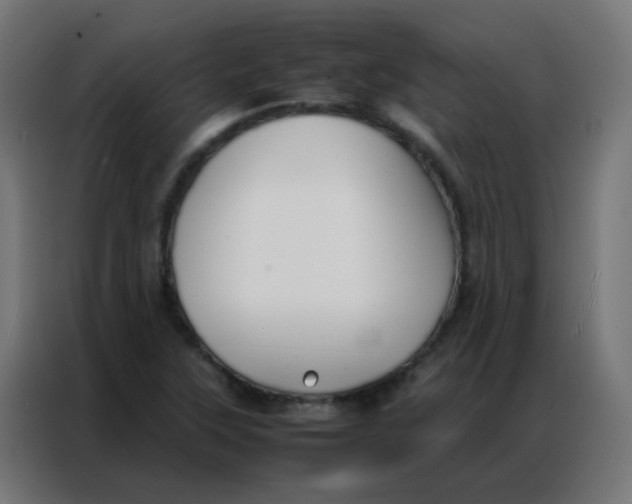 X0000086791315200705041540