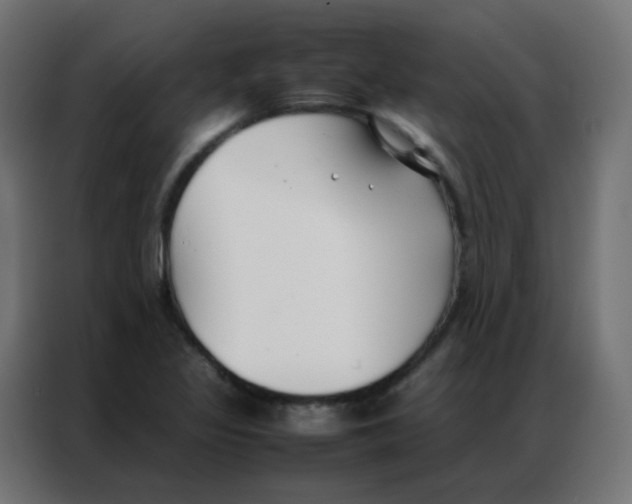 X0000086791317200705041540