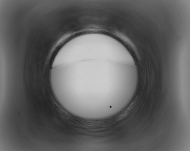 X0000086791318200705041540