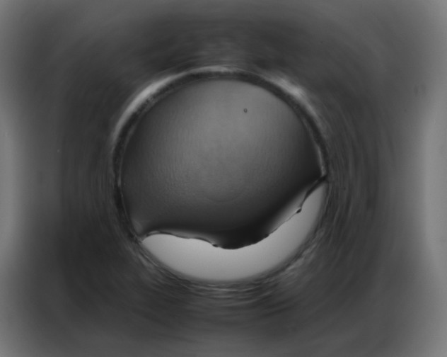 X0000086791319200705041540