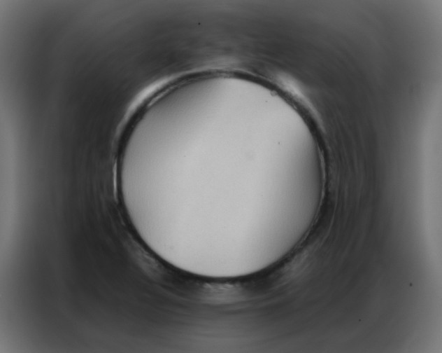 X0000086791320200705041540