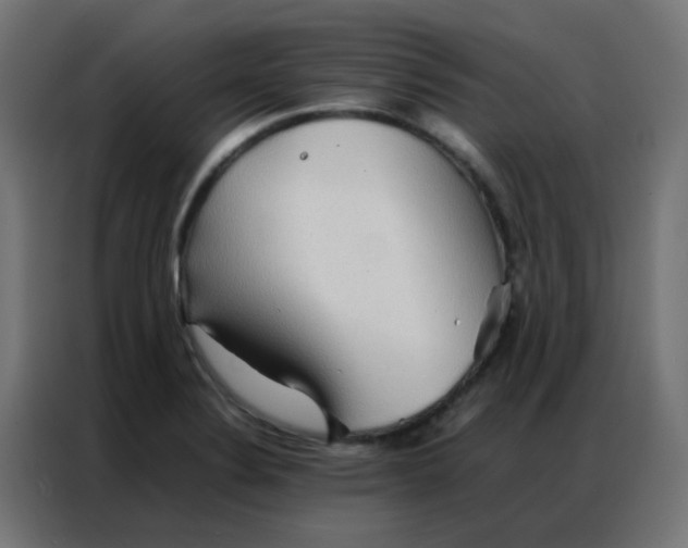 X0000086791324200705041540