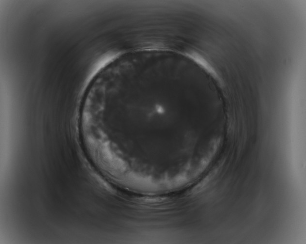 X0000086791325200705041540